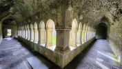 PICTURES/Ennis Friary & Quinn Friary/t_Quinn Abey (16).jpg